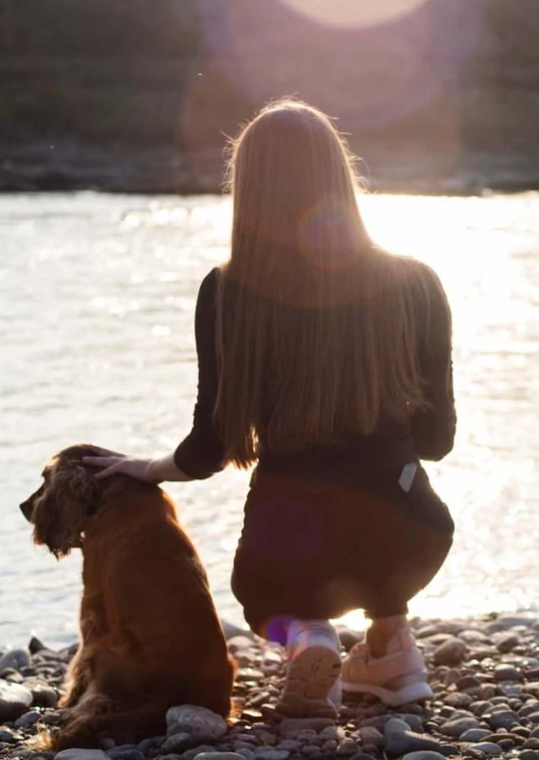 Reiselust Hahnenklee – Ferienhaus – Eine Frau und ein Hund am Wasser bei Sonnenuntergang, eingefangen in einem Moment der Zweisamkeit und Ruhe. Reiselust Hahnenklee - Ferienhaus -
